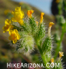 Featured Detail Photo