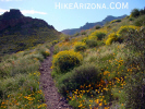 photo thumbnail #5