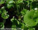 photo thumbnail #13