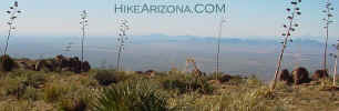 photo thumbnail #10