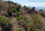 photo thumbnail #13