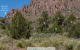 photo thumbnail #8