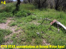 photo thumbnail #4