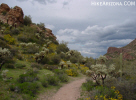 photo thumbnail #13