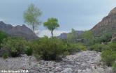 photo thumbnail #14