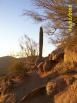 photo thumbnail #14