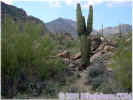 photo thumbnail #1