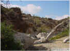 photo thumbnail #11