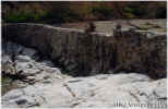 photo thumbnail #15