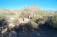 photo thumbnail #9