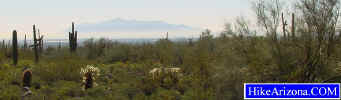 photo thumbnail #1