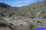 photo thumbnail #5