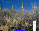 photo thumbnail #6