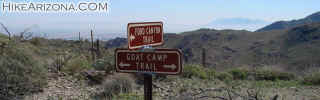 photo thumbnail #13