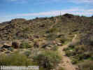 photo thumbnail #15