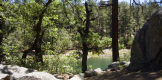 photo thumbnail #3