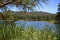 photo thumbnail #4