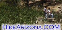 photo thumbnail #8