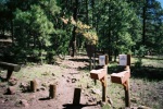 photo thumbnail #5
