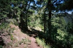 photo thumbnail #8