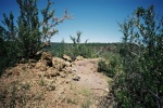 photo thumbnail #13