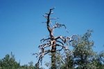 photo thumbnail #14