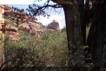 photo thumbnail #6