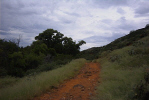 photo thumbnail #15