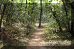 photo thumbnail #6