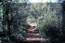 photo thumbnail #3