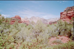 photo thumbnail #7