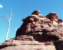 photo thumbnail #8