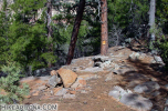 photo thumbnail #1