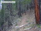 photo thumbnail #1