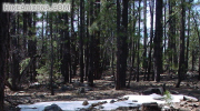 photo thumbnail #2