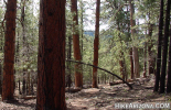 photo thumbnail #9