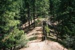 photo thumbnail #4