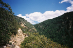 photo thumbnail #3