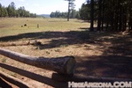 photo thumbnail #9