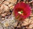 photo thumbnail #15