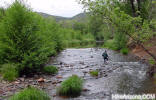 photo thumbnail #5