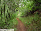 photo thumbnail #6