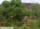 photo thumbnail #14
