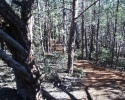 photo thumbnail #2