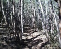 photo thumbnail #8