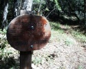photo thumbnail #10