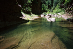 photo thumbnail #10