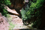 photo thumbnail #8