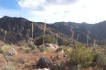 photo thumbnail #4