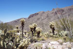 photo thumbnail #12